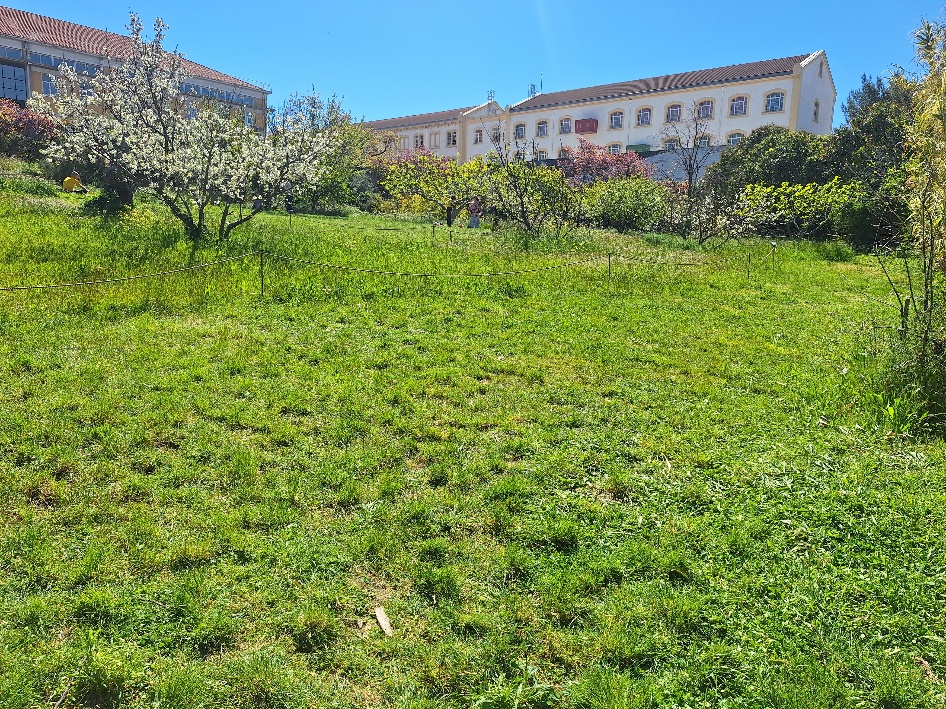 Notes from the field: Belle-de-Mai, Marseille